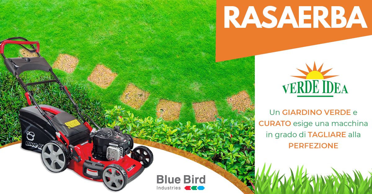 Rasaerba Blue Bird